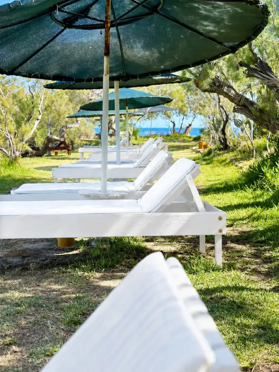 Private beach loungers under umbrellas